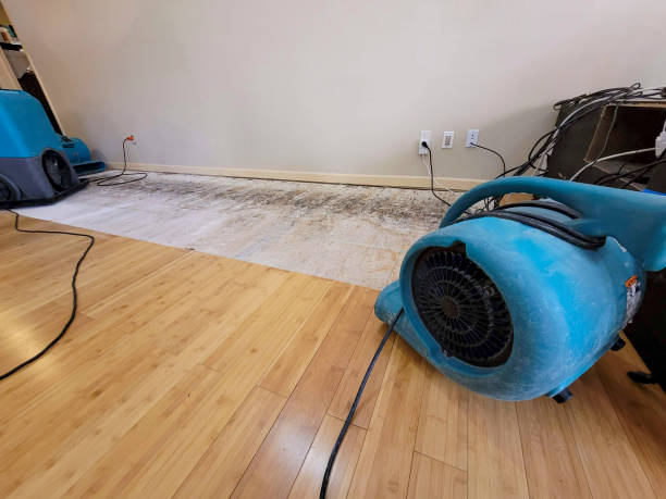 Professional Flood Damage Cleanup technician working in Albany, MN